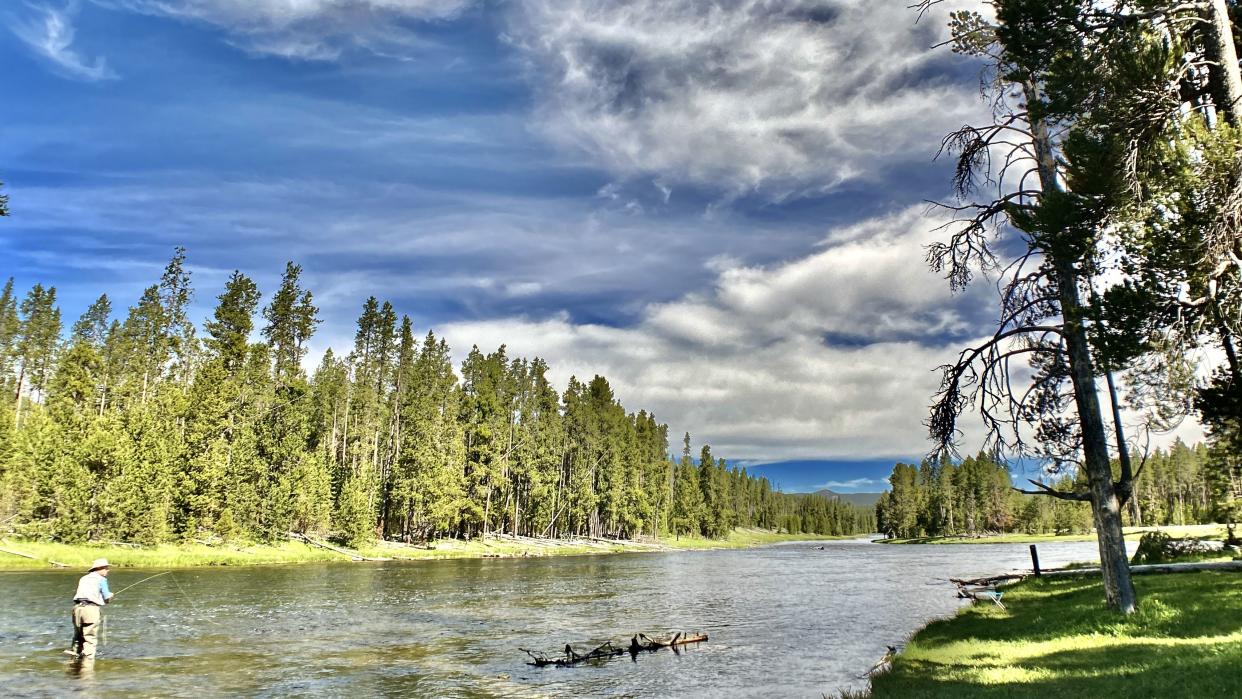 driving in yellowstone national park - cody, wy - usa