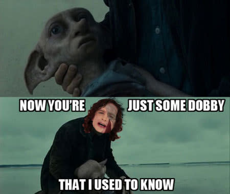 THE MANY MEMES OF GOTYE