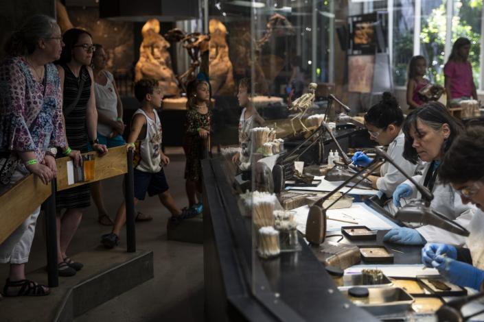 Un grupo de adultos y niños observan una demostración en Fossil Lab