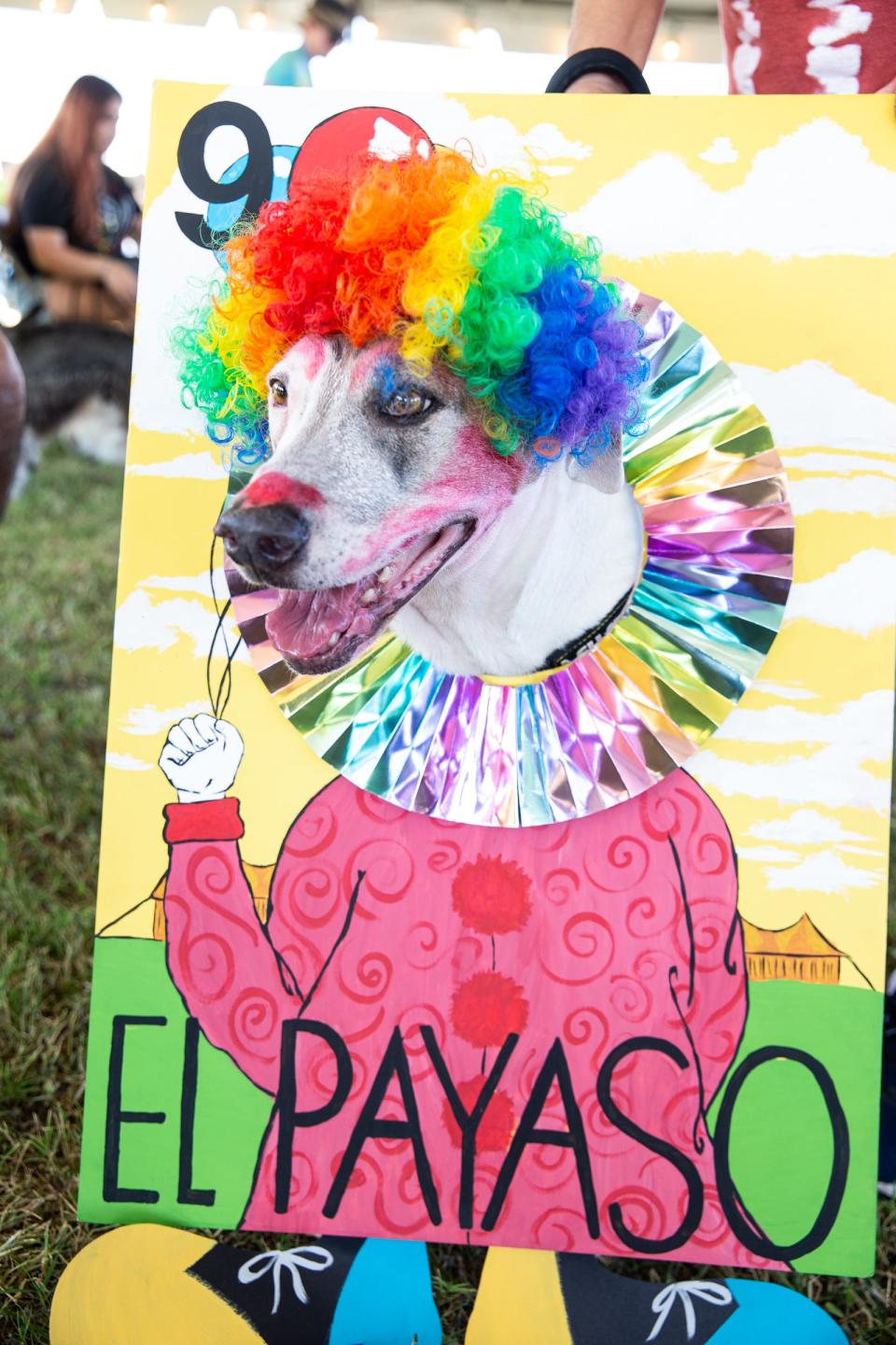 Amy competes in the 11th annual Thomas J. Henry Bark in the Park costume contest as a Lorteria card  at Water's Edge Park on Saturday, Oct. 8, 2022, in Corpus Christi, Texas