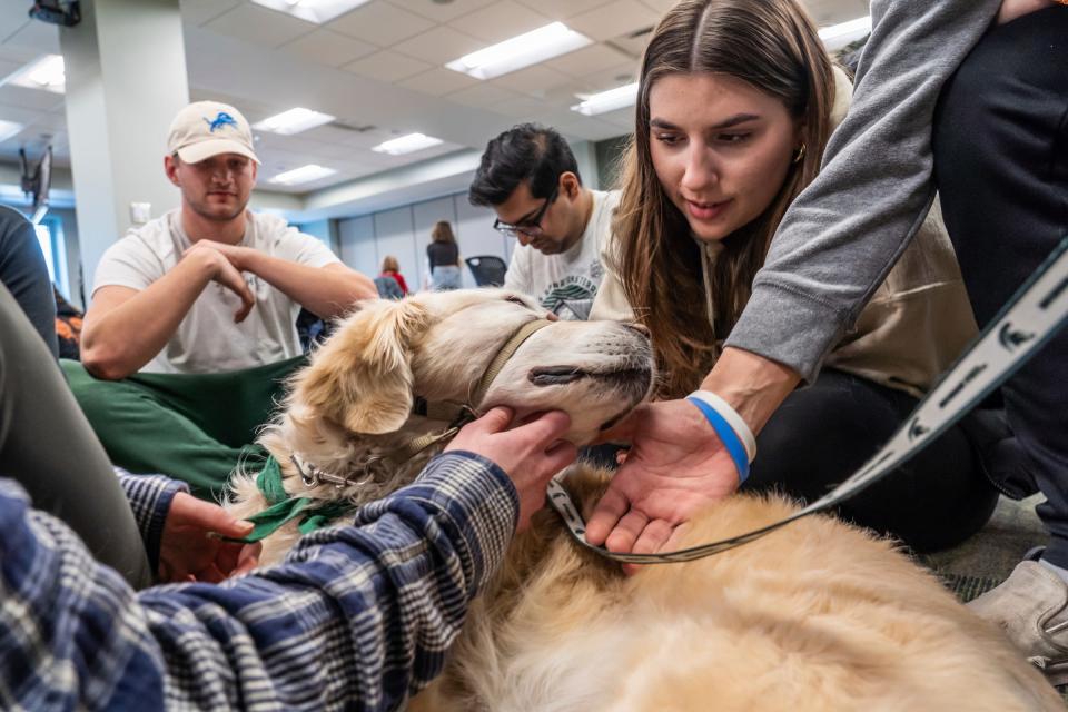 Michigan State University student Morgan Smith, right, stares at Nellie, a 9 year-old golden retriever, while spending time with other students petting therapy dogs in the Main Library on the campus in East Lansing on Friday, Feb. 17, 2023, to help students/faculty in the aftermath of the mass shooting on campus that left three students dead and five in critical condition.