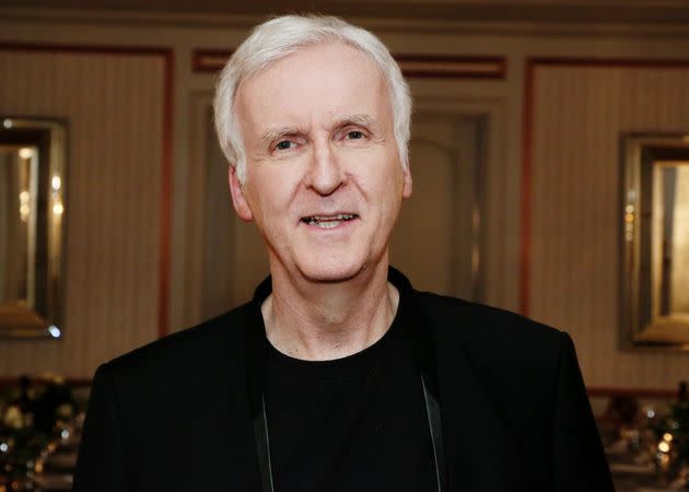 Director James Cameron has announced his plans to make four 