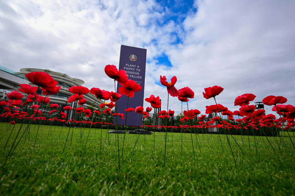 MELBOURNE, AUSTRALIA - APRIL 25: The poppie flowers are seen during Melbourne Racing on Anzac day at Flemington Racecourse on April 25, 2024 in Melbourne, Australia. (Photo by Vince Caligiuri/Getty Images)