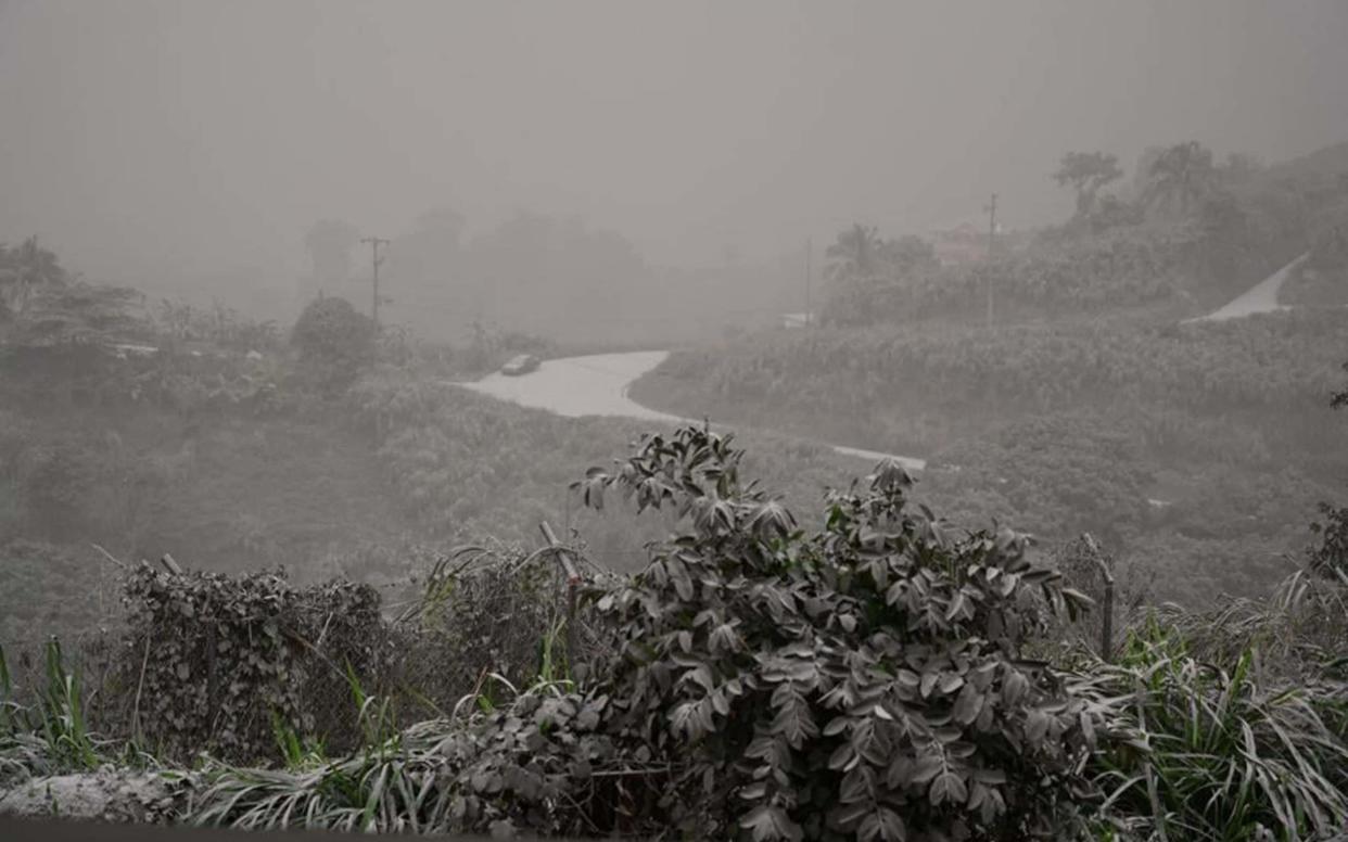 A road and vegetation covered in ash after the April 9 eruption - UWI Seismic Research Centre/AFP