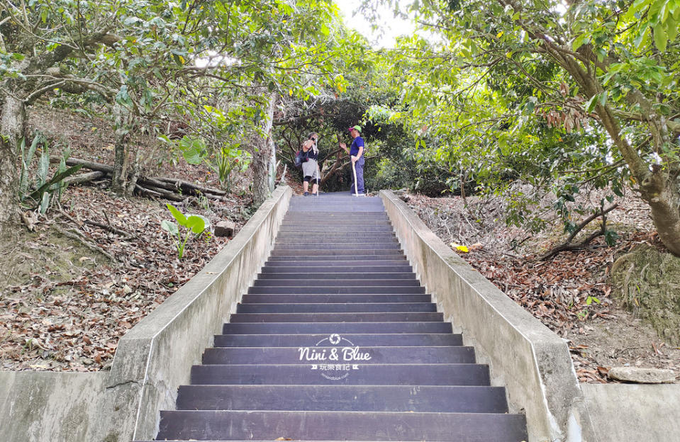 台中太平登山步道｜咬人狗坑生態景觀步道