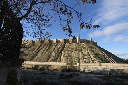 A general view shows Aleppo's historic citadel, controlled by forces loyal to Syria's President Bashar al-Assad, as seen from a rebel-held area December 23, 2014. REUTERS/Abdalrhman Ismail