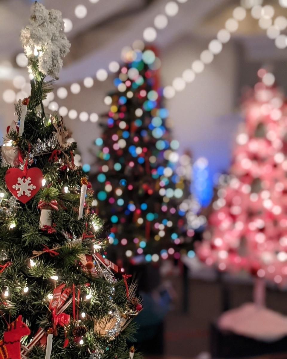 The Massachusetts Horticultural Society is once again hosting its Festival of Trees at the Garden at Elm Bank in Wellesley. See dozens of decorated trees as well as a model train village and illuminated gardens.