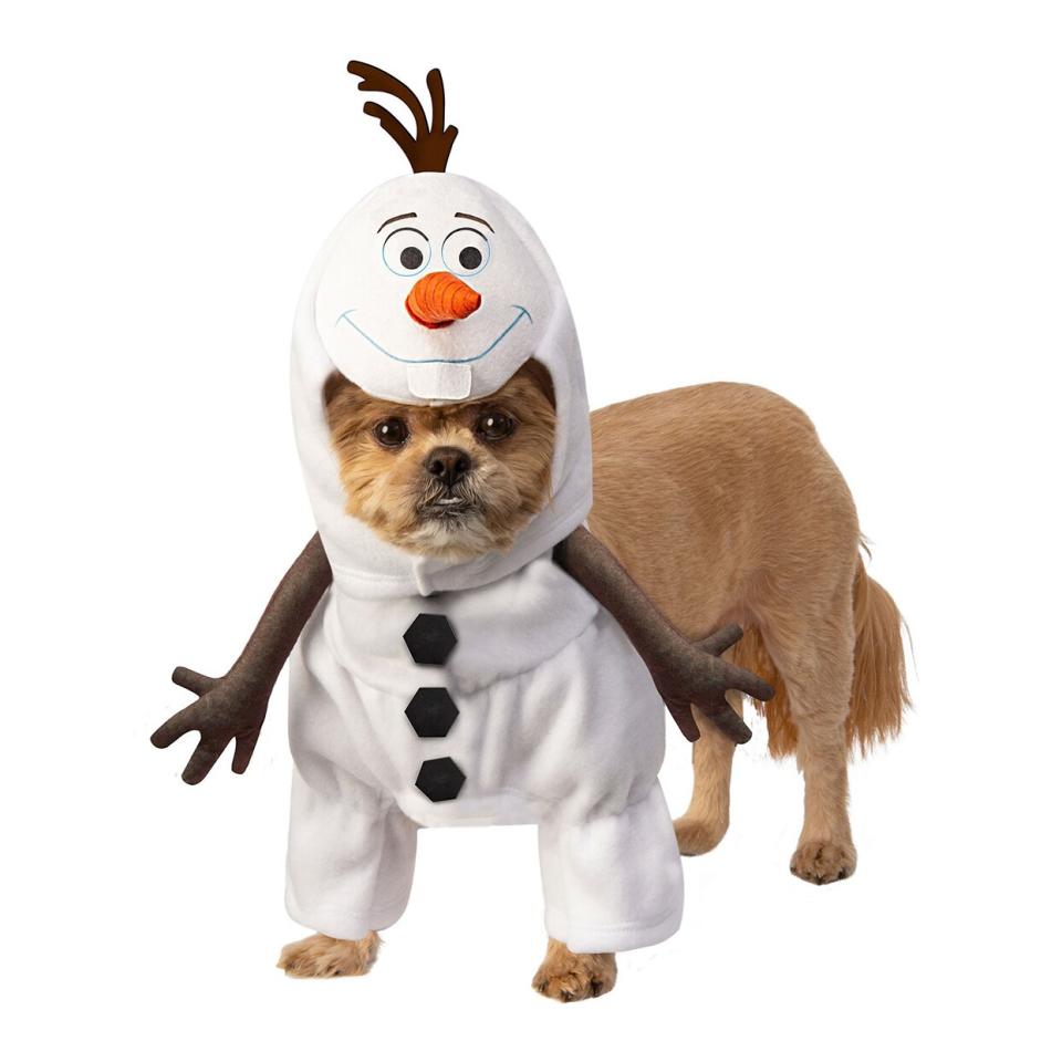 Dog wearing a Frozen Olaf Pet Costume on a white background