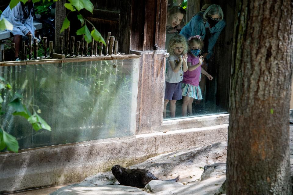 Children peer into the otter enclosure at the WNC Nature Center June 2, 2022.