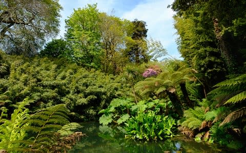 Lost Gardens of Heligan - Credit: getty