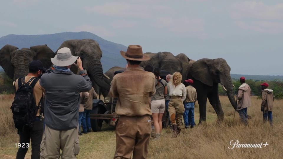Scenes filmed in Africa saw real wildlife wander on to set, the cast say.