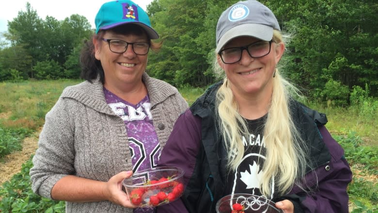 Instead of getting rid of leftover strawberries, one Cape Breton farm donates them