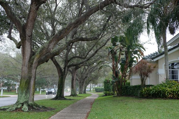 Egret Landing in Jupiter, where a couple was arrested on aggravated child abuse charges on Tuesday, Feb. 8, 2022, is a neighborhood off Central Boulevard filled with large homes and tree-lined streets.