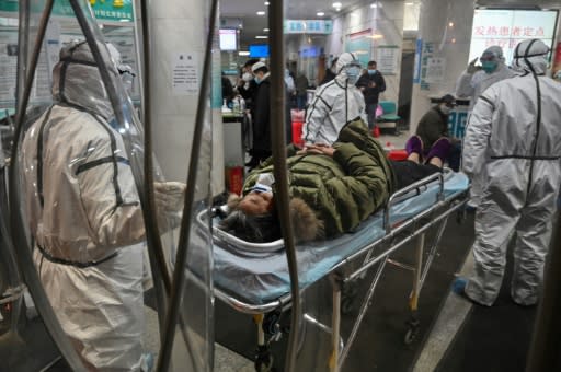 The virus, which has since gone on to kill more than 1,000 people across China, is believed to have crossed into humans from an animal market in Wuhan