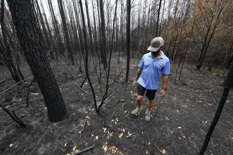 Resident Kevin Johnson walks through forest burnt from a wildfire behind his home in Leesville, La., Wednesday, Sept. 13, 2023. (AP Photo/Gerald Herbert)