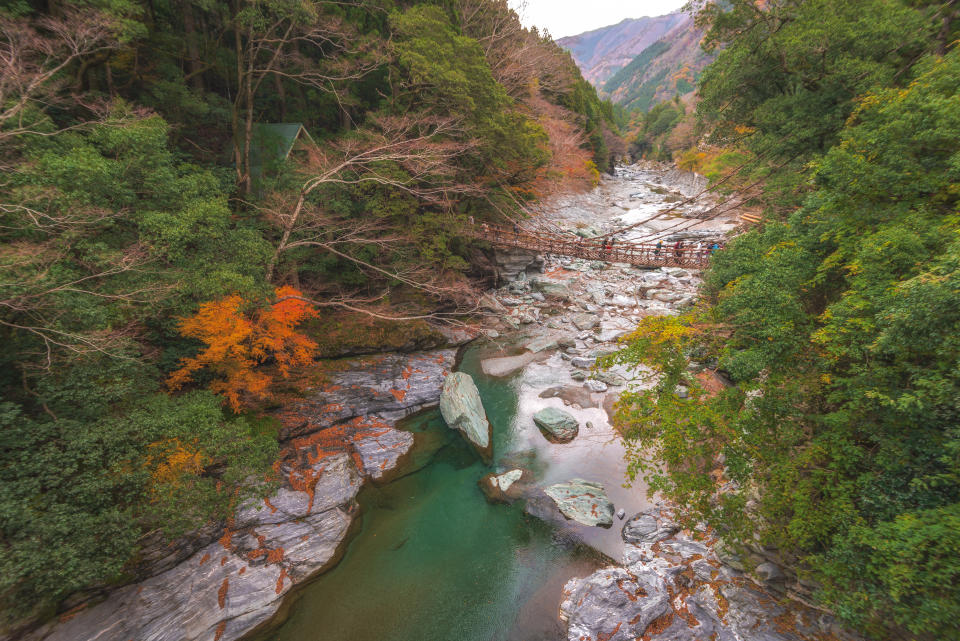 The Iya Kazurabashi stretches 45 metres across the Iya River at the centre of the valley and gives visitors an unsettling view of the water 14 meters below the open slats of the span. (Photo: Gettyimages)