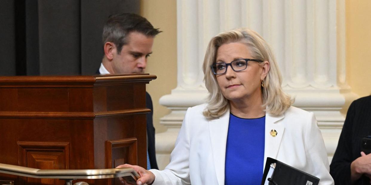 Republican Reps. Liz Cheney of Wyoming and Adam Kinzinger of Illinois at a January 6 hearing on July 21, 2022.