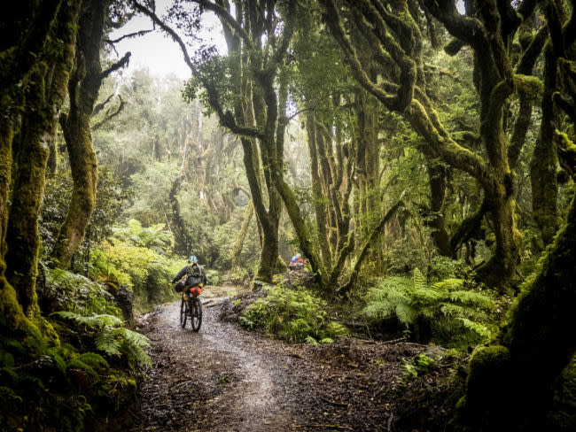 Timber trail (Photo: Sven Martin)