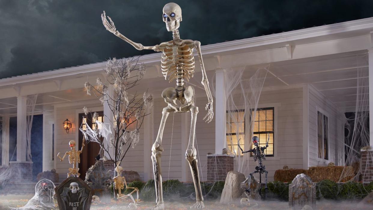 home accents holiday 12 foot skeleton from the home depot