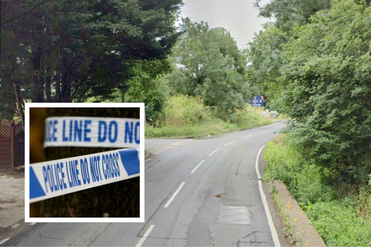 Nineteen-year-old dies after early hours crash in south Essex road <i>(Image: Google / stock image)</i>