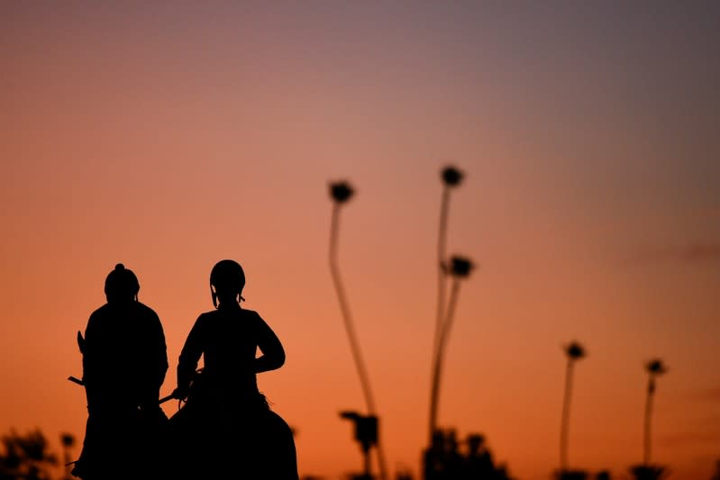 FILE PHOTO: Horse Racing: 36th Breeders Cup-Workouts