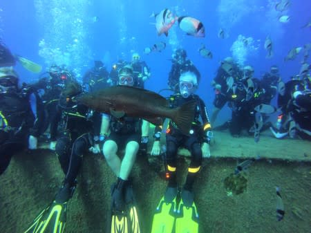 Ray Woolley, diver and World War Two veteran, is seen underwater during an attempt to break a new diving record as he turns 96 by taking the plunge at the Zenobia, a cargo ship wreck off the Cypriot town of Larnaca