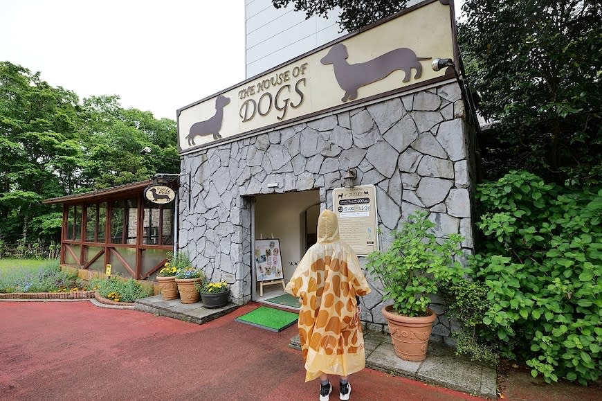 日本富士野生動物園Fuji Safari Park