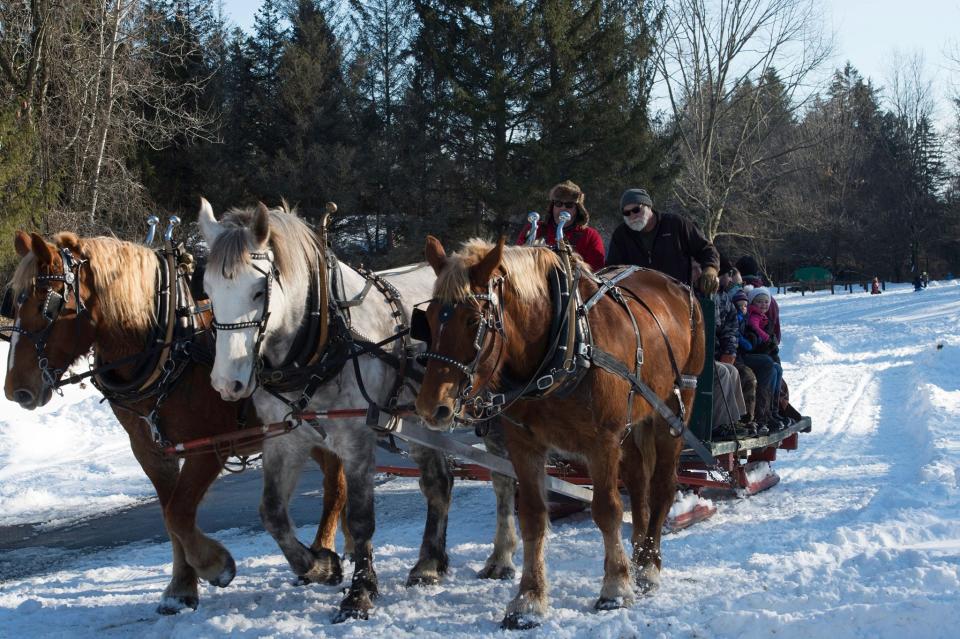 Enjoy a horse-drawn sleigh ride at this year's Winter Living Celebration at Rogers Center in Sherburne.