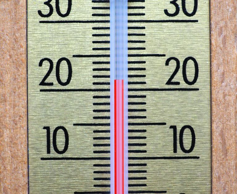 Lo ideal es mantener la temperatura ambiente alrededor de los 21°C