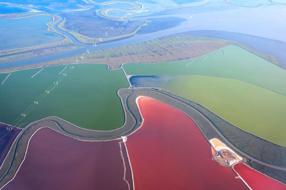 The San Francisco Salt Ponds