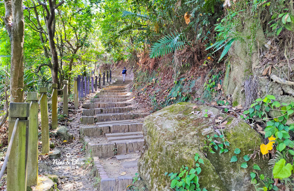 台中太平登山步道｜咬人狗坑生態景觀步道