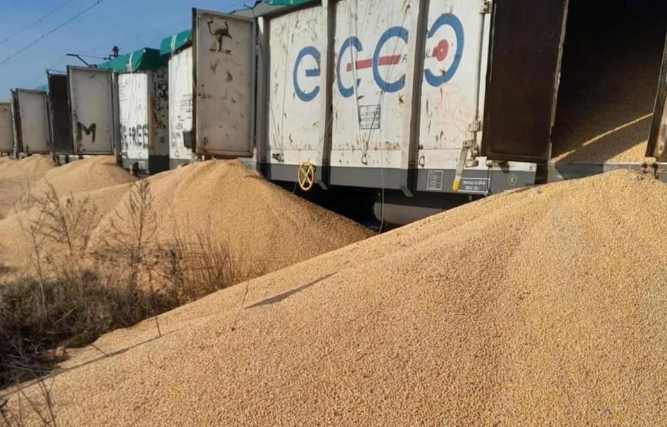 Ukrainian grain dumped at a Polish railway station near Bydgoszcz, Poland. Photo published on Feb. 25, 2024. (Infrastructure Minister Oleksandr Kubrakov/X)