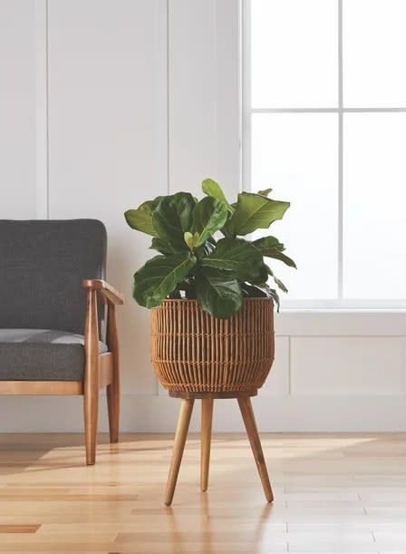 the planter in front of a window with a plant in it