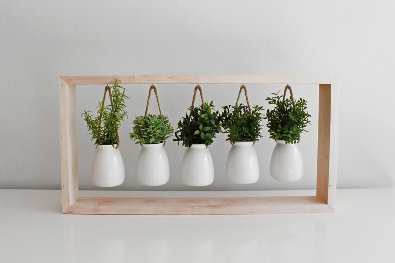 Indoor Herb Garden in Wooden Frame