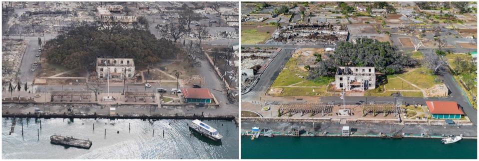 PHOTO: This combination of photos shows the historic Lahaina banyan tree in Lahaina, Hawaii, after the Lahaina wildfire on August 10, 2023 (left) and July 6, 2024 (right). (AP)