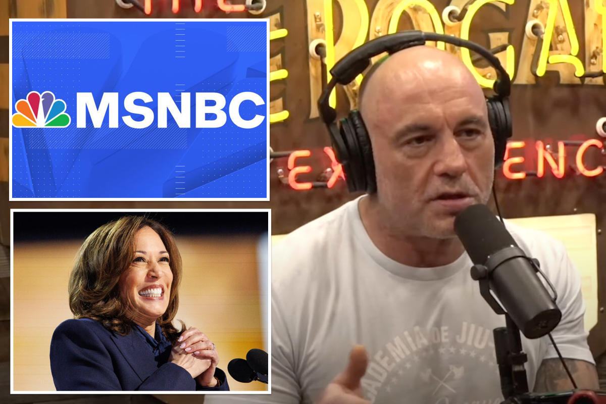 Joe Rogan blasts MSNBC for 'deceptively editing' comments that made it seem  like he backs Kamala Harris