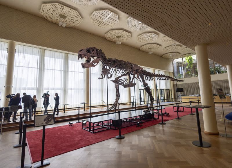 67-million-year-old T-rex skeleton presented to media before auction in Zurich