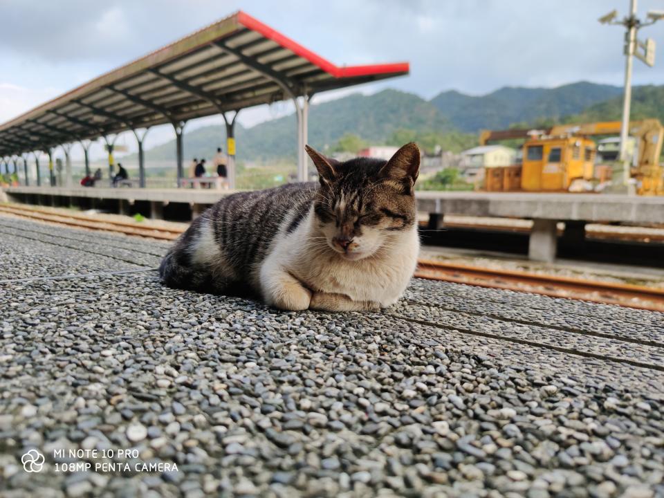 小米 Note 10 Pro 一億畫素實拍