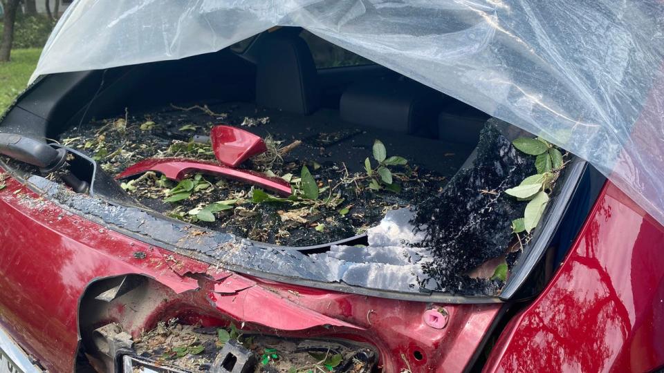 <div>Tree smashes the back window of a car in San Marcos</div>