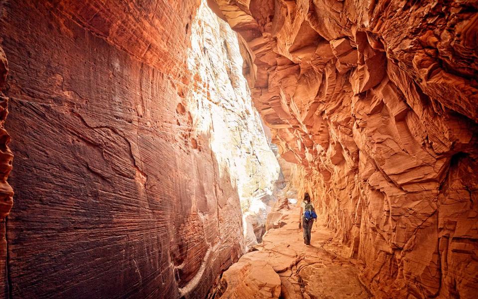 <p>Zion National Park in southern Utah is arguably the most beautiful park in the state. With sandstone cliffs jutting out of the valley in a desert-like landscape, visitors to the park will be impressed as they come around every bend. Known for its famous slot canyons, Zion is ideal for hiking and canyoneering: though that doesn’t mean that the less athletic traveler will come up short on things to do. For those willing to set off by foot, attempt the Narrows: a slot canyon hike that requires hiking across a river. While this can be a refreshing trail in the summer heat, pay close attention to the weather forecast.</p>