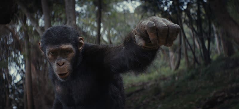 《猩球崛起：王國誕生》中的猩猩諾亞是由歐文提格飾演。（圖／二十世紀影業提供）