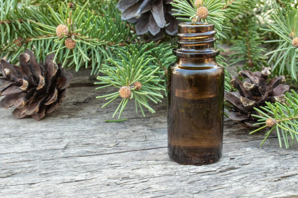 It only takes two or three drops of pine essential oil to mirror the smell of woodland (Alamy/PA)