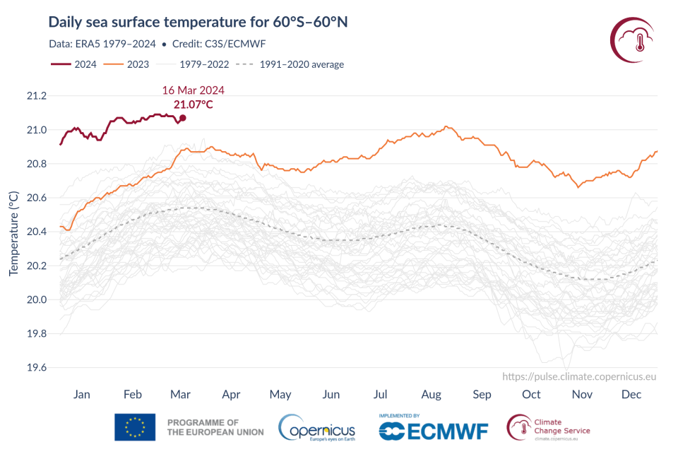 Ocean temperatures have been above the long-term average for more than a year, and sea surface temperature anomalies are higher this year.