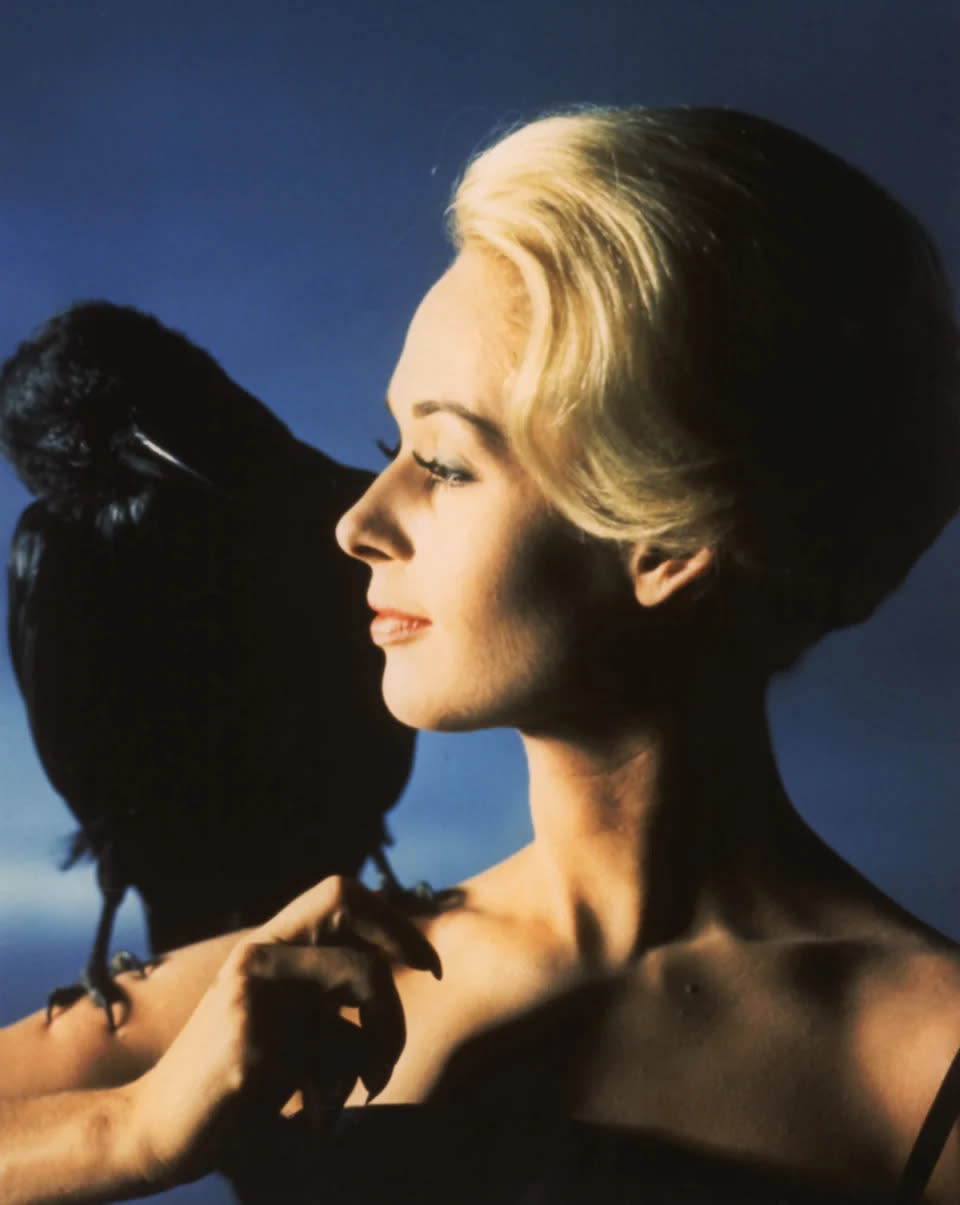 Tippi Hedren in einem Standbild aus „Die Vögel“. (Donaldson Collection/Getty Images)