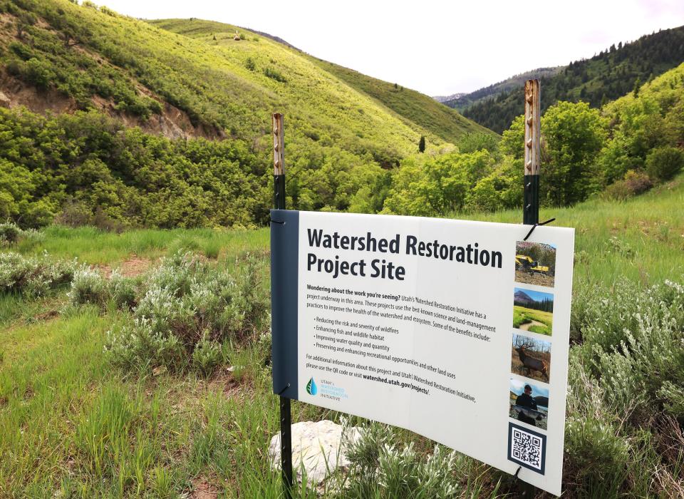 Crews work to trim vegetation in the mountains near Lambs Canyon near I-80 on Friday, June 9, 2023. | Scott G Winterton, Deseret News