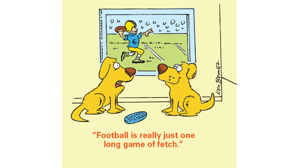 Cartoon of two dogs watching football on TV with one saying, 