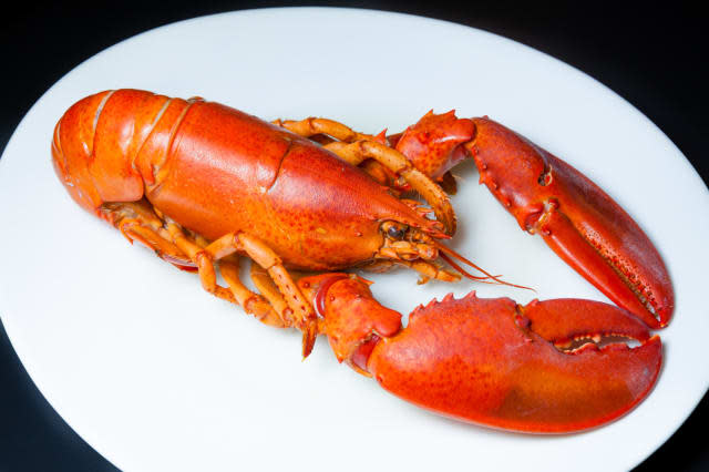 Lobster - one of the strangest things left in an Uber