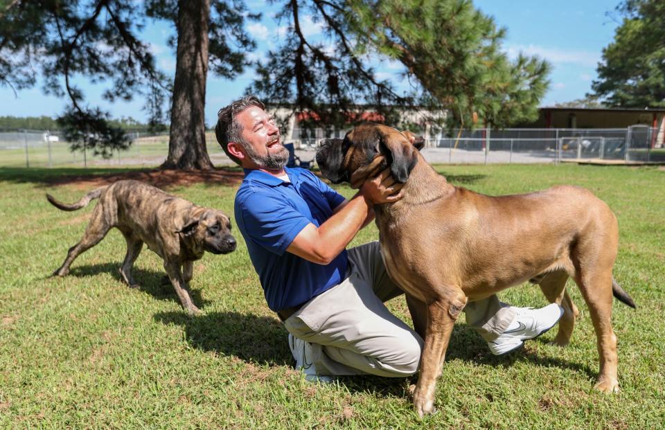 Guyton Mayor Russ Deen plays with Samson and Delilah at his Guyton Pet Lodge.