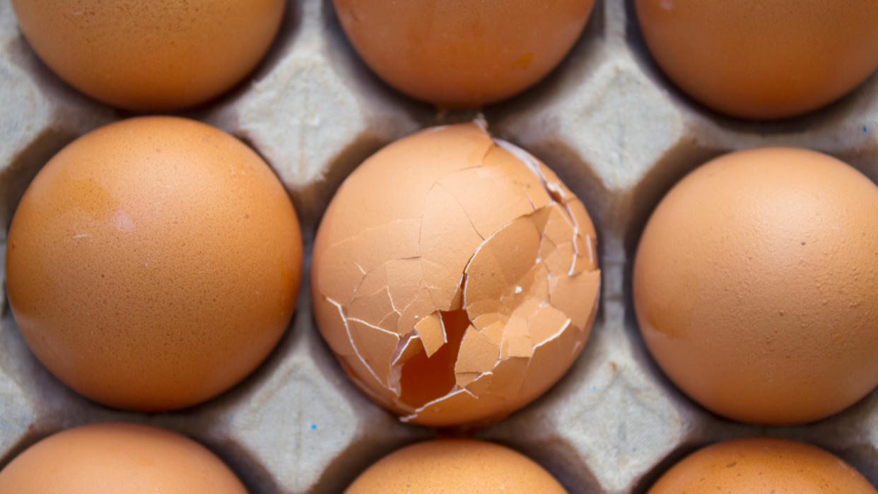 one egg broken in a dozen eggs