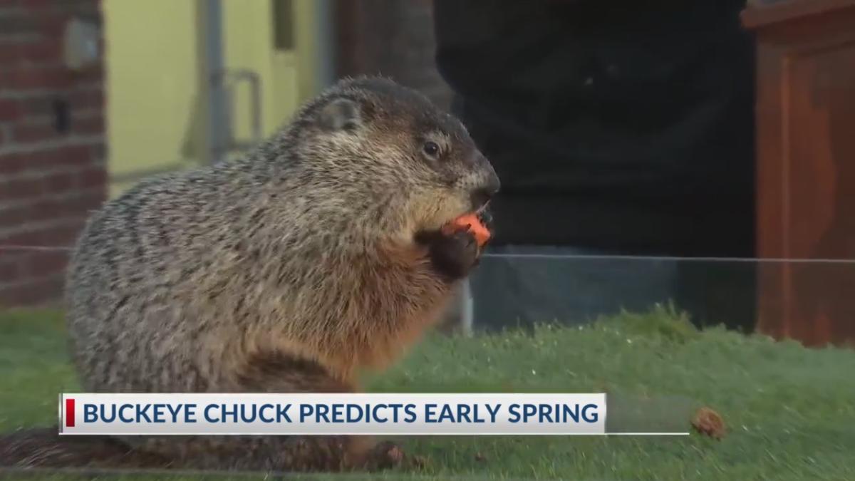 Did Buckeye Chuck see his shadow on Groundhog Day?